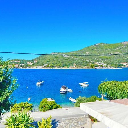 Violic Apartments Zaton  Εξωτερικό φωτογραφία