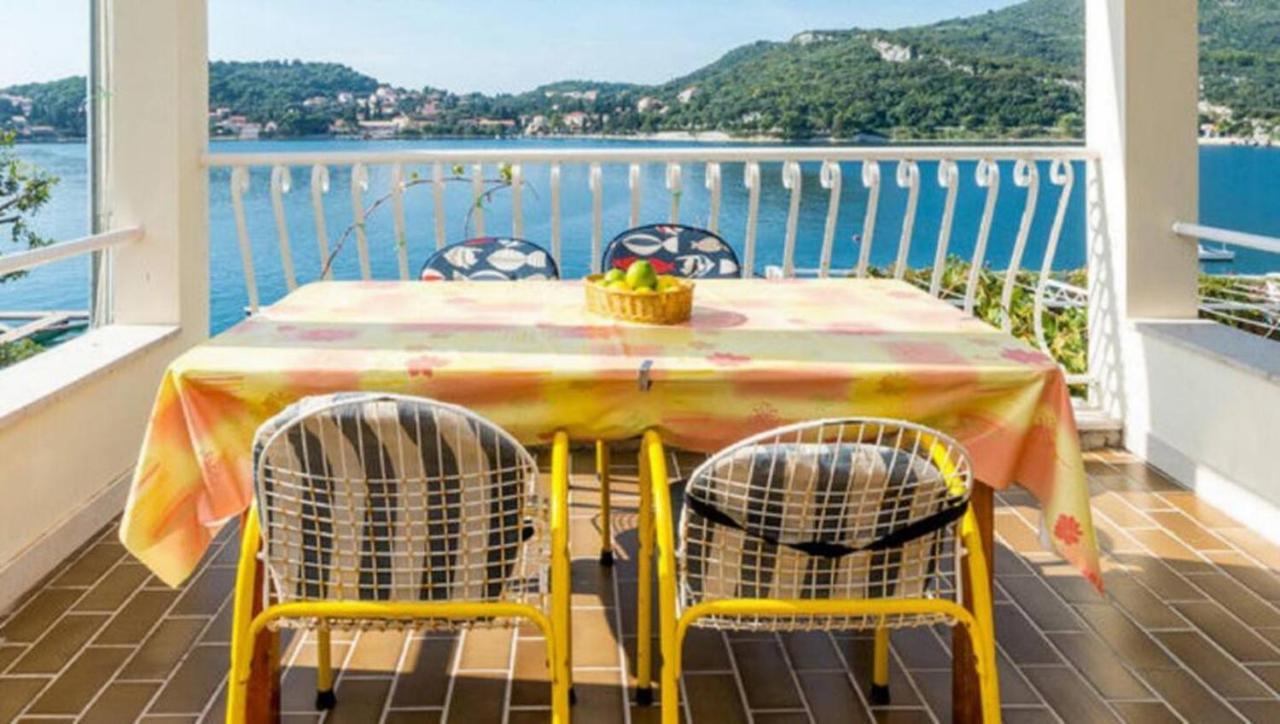 Violic Apartments Zaton  Εξωτερικό φωτογραφία