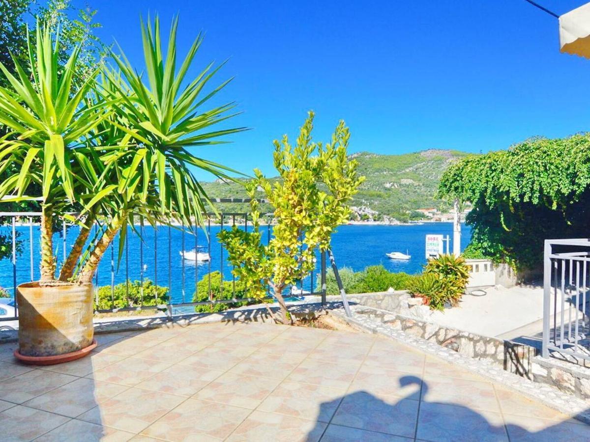 Violic Apartments Zaton  Εξωτερικό φωτογραφία