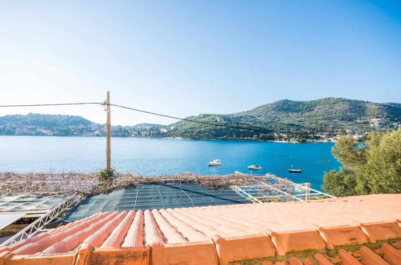 Violic Apartments Zaton  Εξωτερικό φωτογραφία