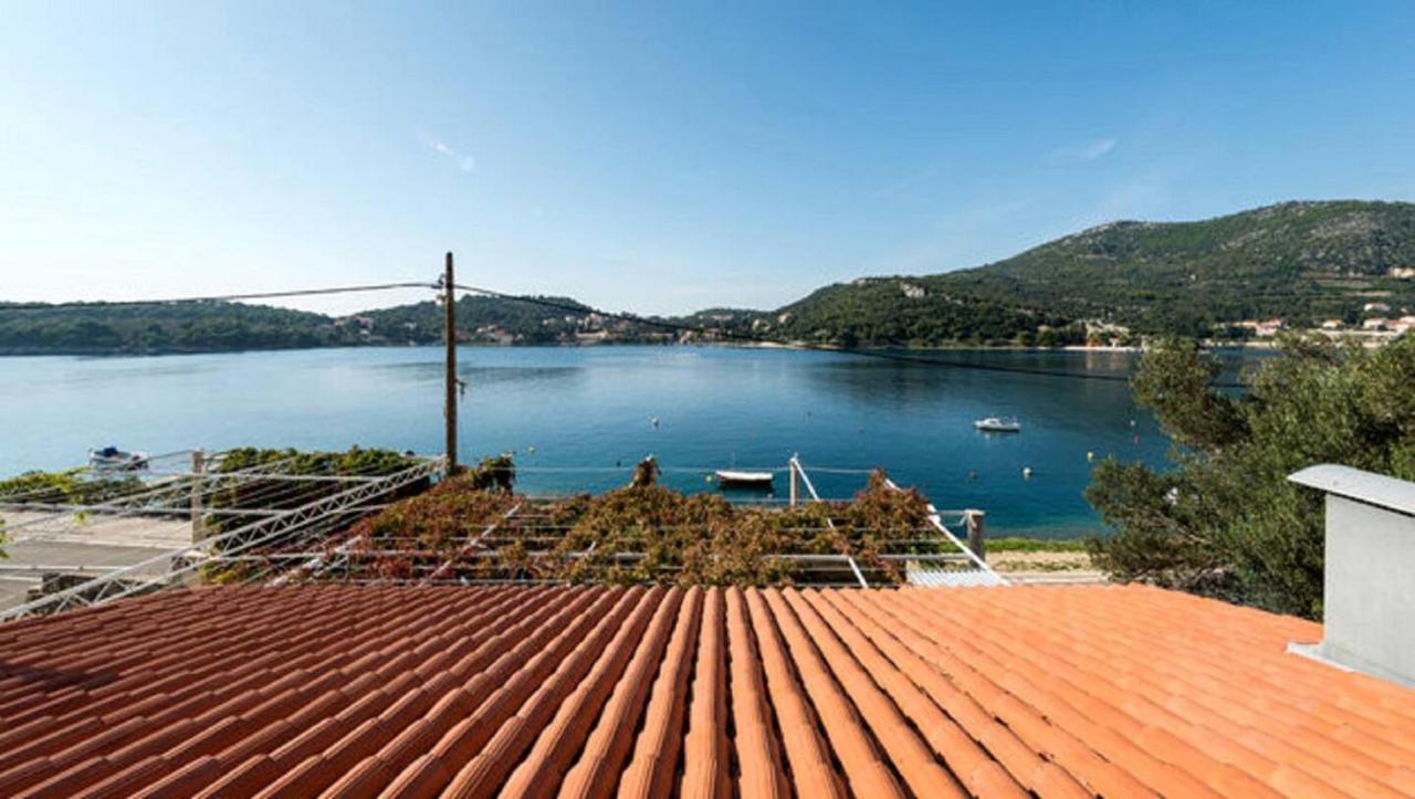 Violic Apartments Zaton  Εξωτερικό φωτογραφία
