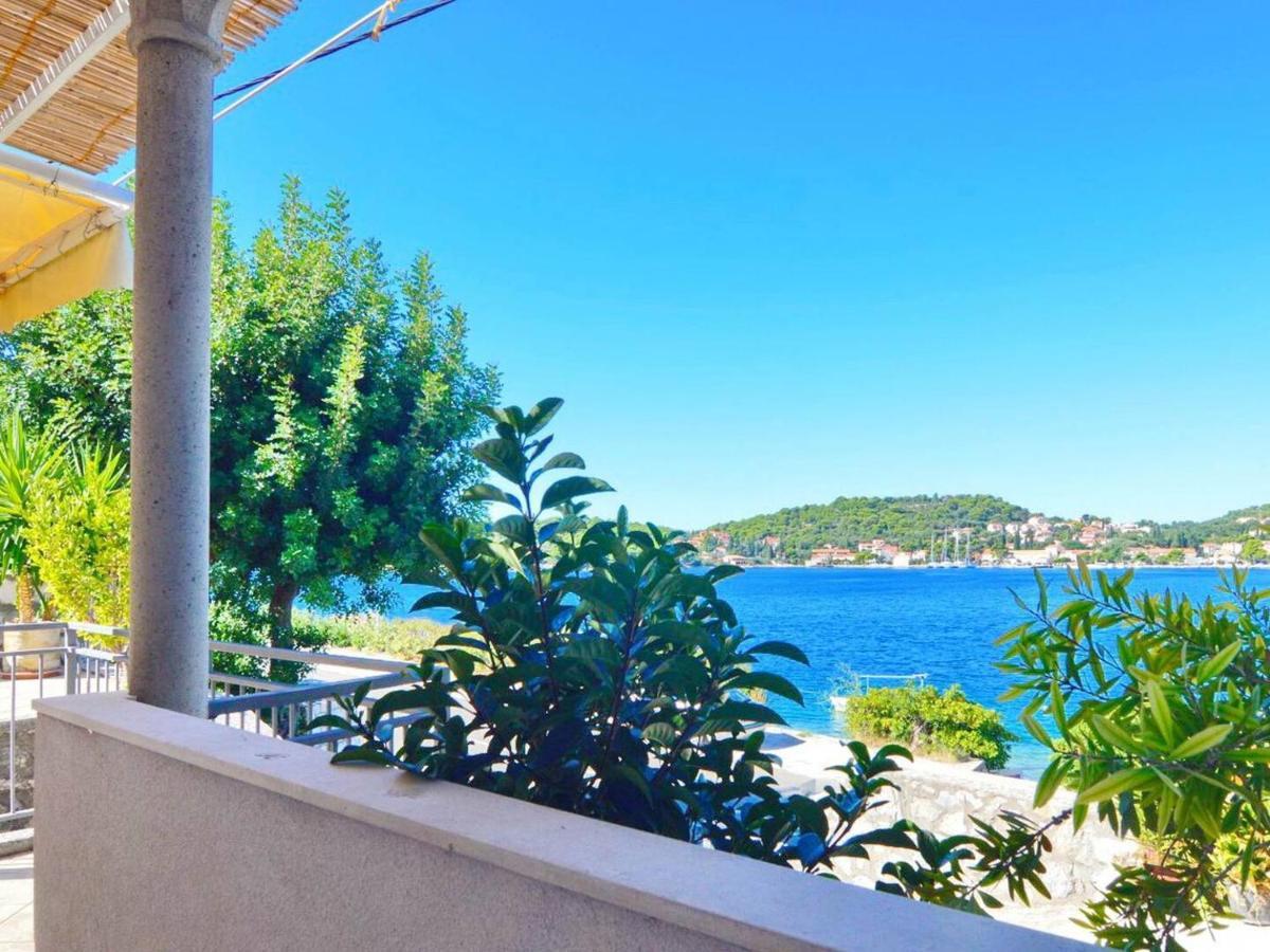 Violic Apartments Zaton  Εξωτερικό φωτογραφία