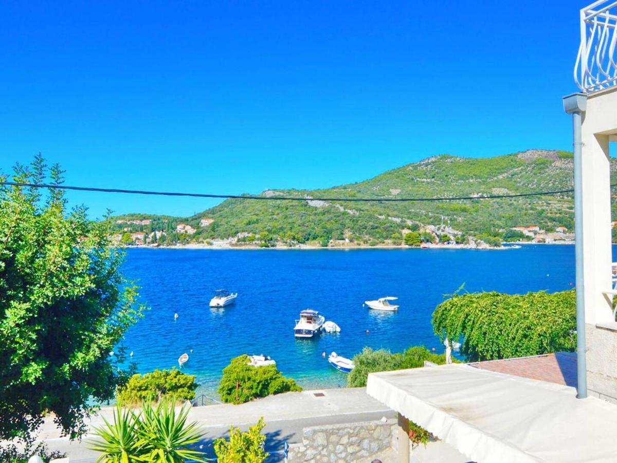 Violic Apartments Zaton  Εξωτερικό φωτογραφία